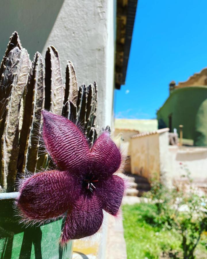 El Convento De Tilcara Bed & Breakfast エクステリア 写真