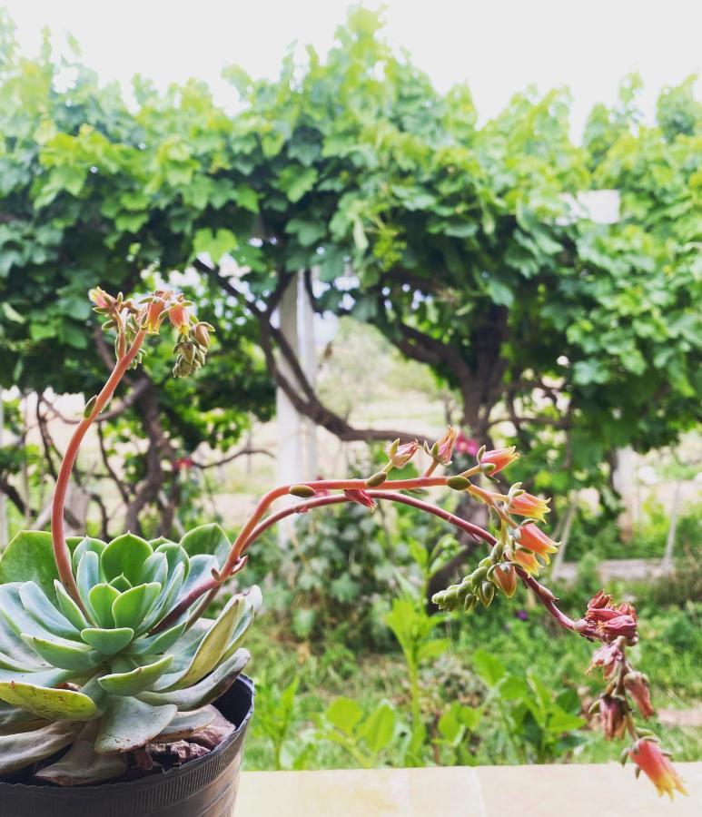 El Convento De Tilcara Bed & Breakfast エクステリア 写真