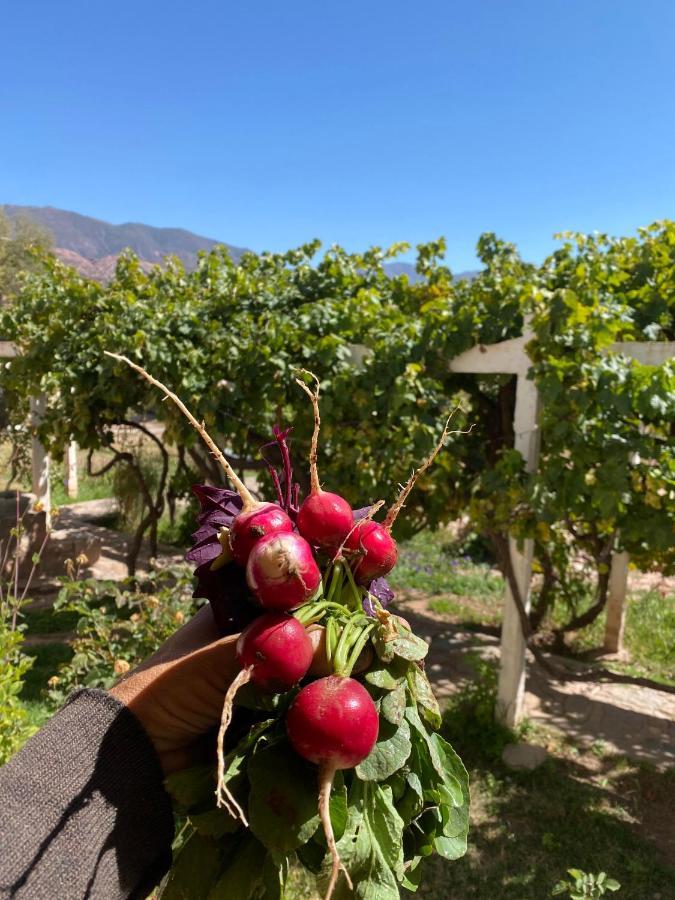 El Convento De Tilcara Bed & Breakfast エクステリア 写真